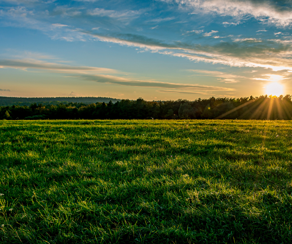 Oakfold Secure Option on Shropshire Housing Development